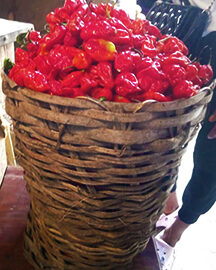 Basket of Red Pepper