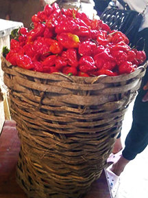 Basket of Red Pepper