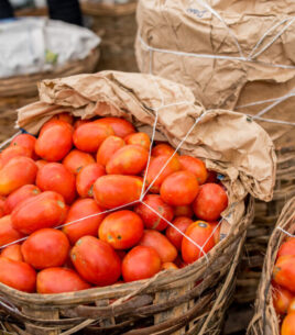 Basket of Tomatoes