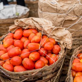 Basket of Tomatoes