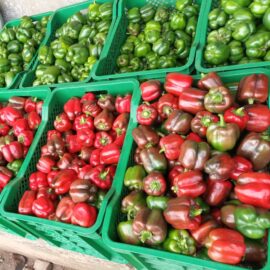 Basket of Green Pepper