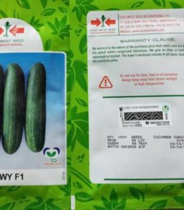 Cucumber Seed