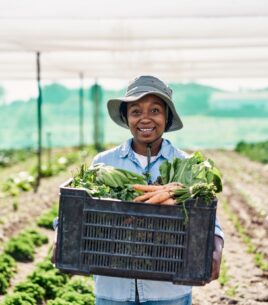 Just Nature Farm Land