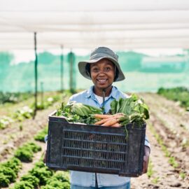 Just Nature Farm Land